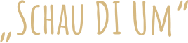 Schau DI Um